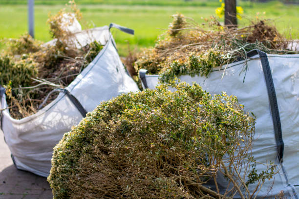 Best Commercial Junk Removal  in Winchester, NV