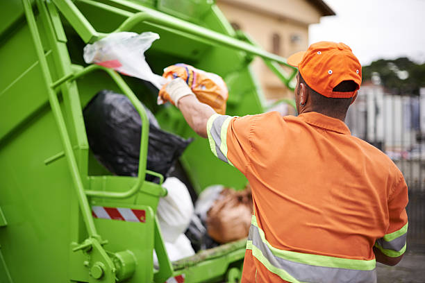 Yard Cleanup Services in Winchester, NV